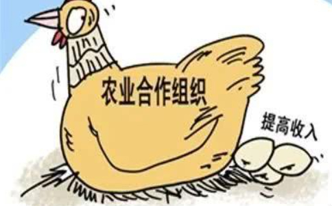 鄭州注冊農民專業合作社屬于什么企業類型