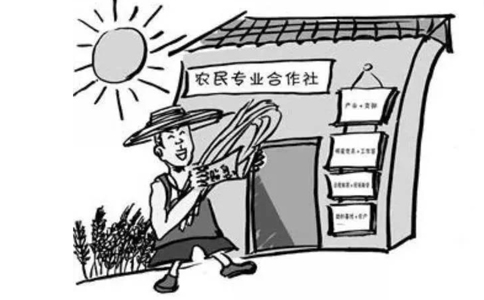 農民專業合作社屬于企業法人嗎？農民專業合作社的概念