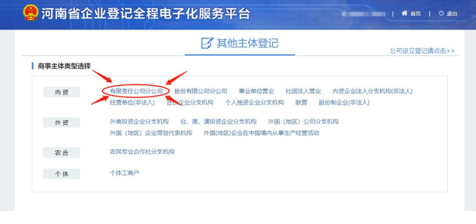 河南省營業執照網上申報選擇有限責任分公司注冊