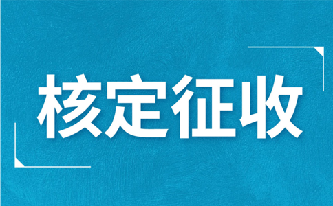 江西大額個體戶核定征收標準，2024年最新政策